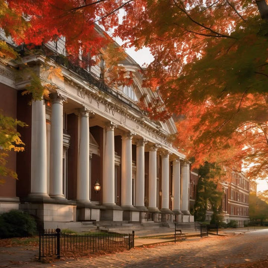 Realizing your dorm mattress is thinner than your willpower.