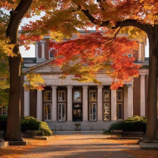 Comparing yourself to classmates who are already launching startups.