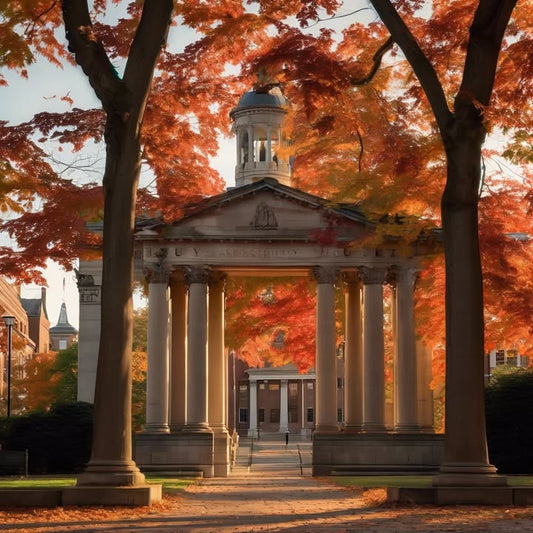 Studying for 5 hours straight, then forgetting everything.