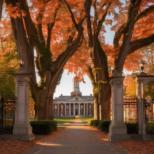 Feeling embarrassed to say “I don’t know what’s next.”