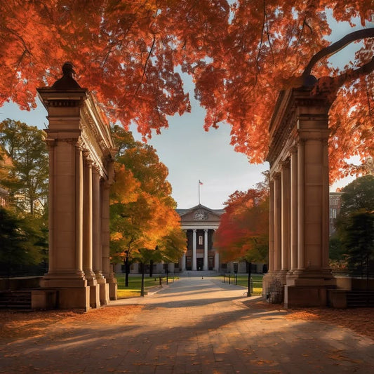 Tripping over cobblestones in front of the admissions tour.