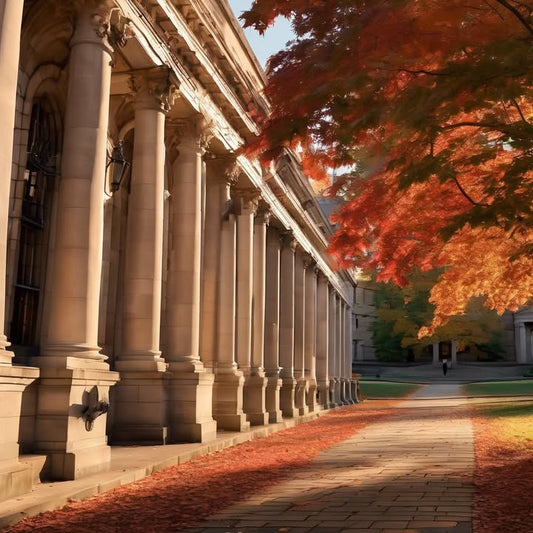 “Whose turn is it to take out the trash?” saga.