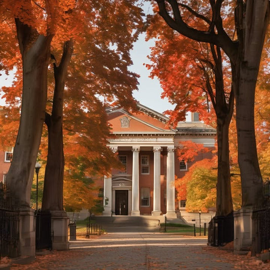 That one hidden study spot no one talks about—but everyone knows.