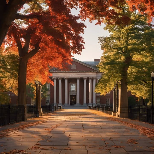 Laughing at old cafeteria photos with friends.