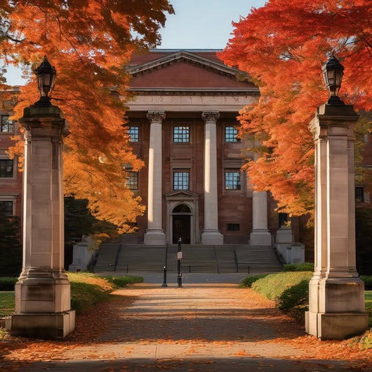 Borrowing clothes without asking (and pretending it’s fine).