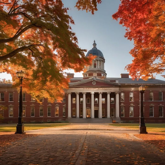 Seeing snow for the first time with people from 3 continents.