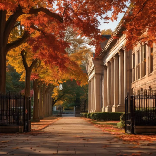 You’ve never met your roommate… but live together.