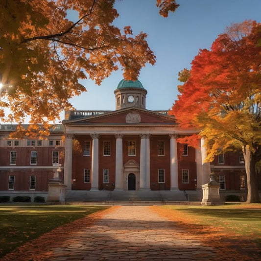 That one person who owns a rice cooker and becomes a hero.