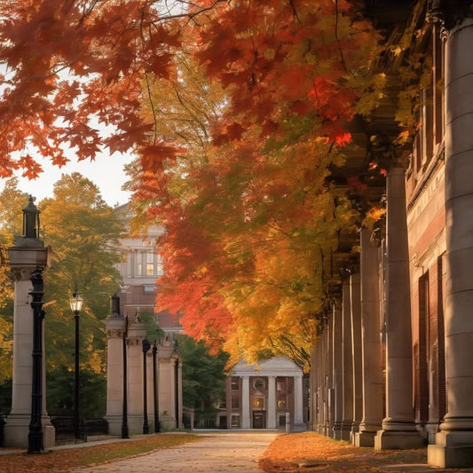 Choosing where to sit felt like political strategy.