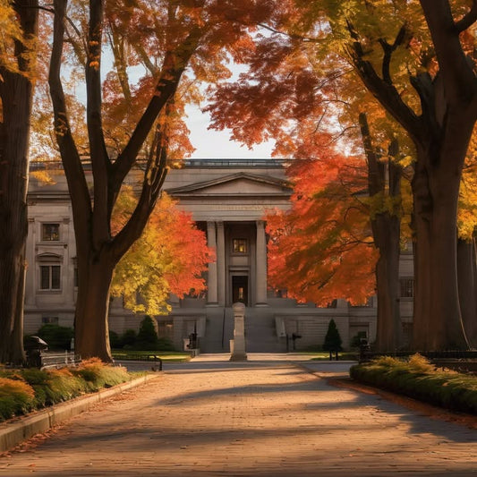 Putting fries in your sandwich because why not.