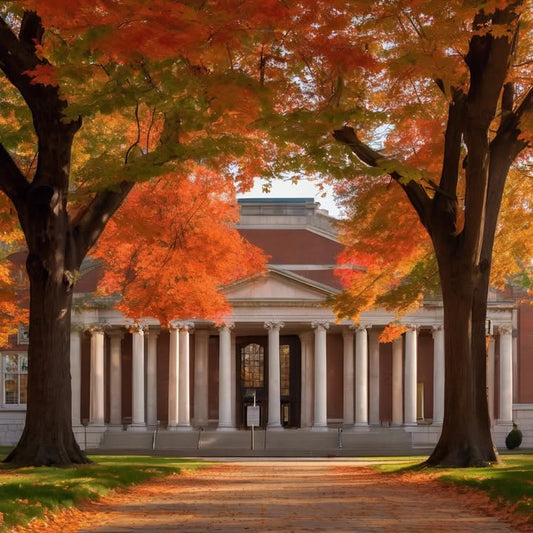 The grassy patch where you always ate lunch alone (and loved it).