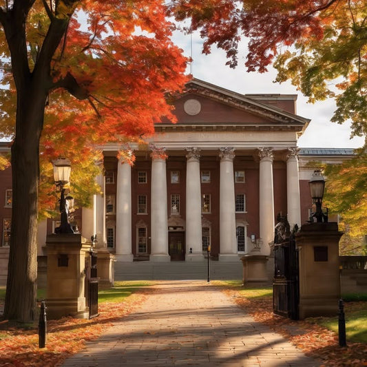 Hanging string lights to feel something.