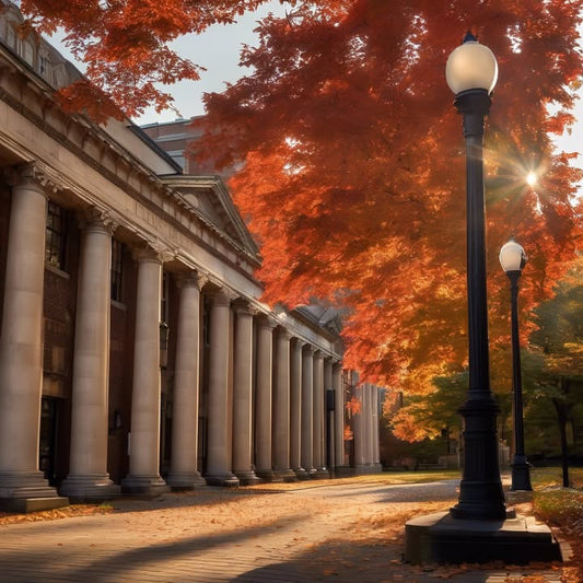 Trying to downplay your background just to fit in.