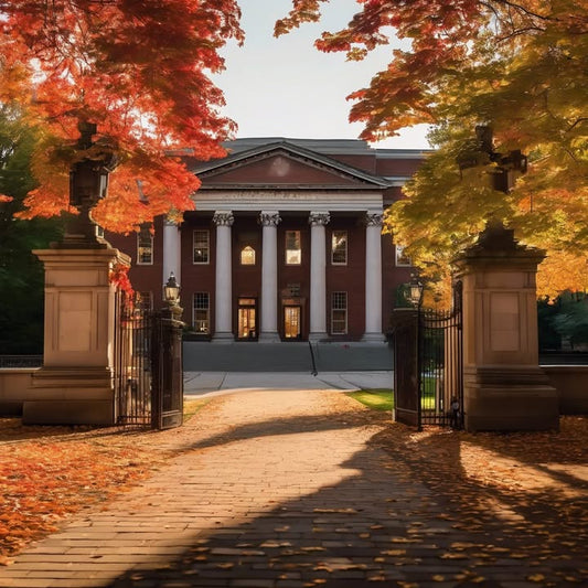 Roommate who always brings their situationship over.