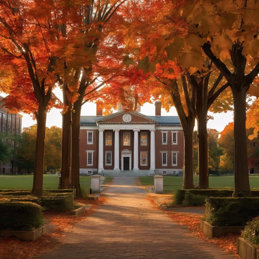 Instinctively timing your arrival to avoid the rush.