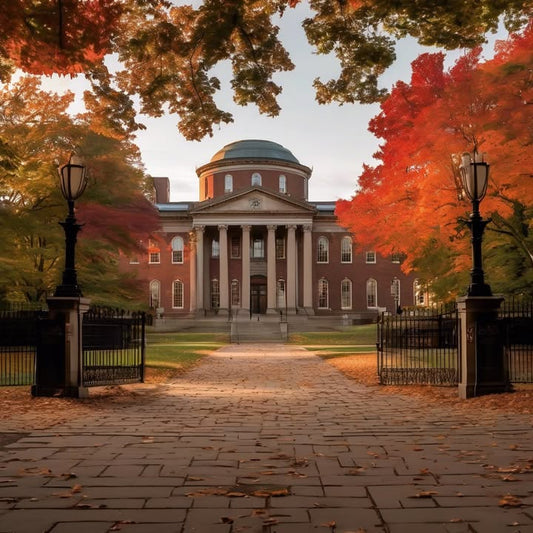 Febreze as a substitute for basic hygiene.