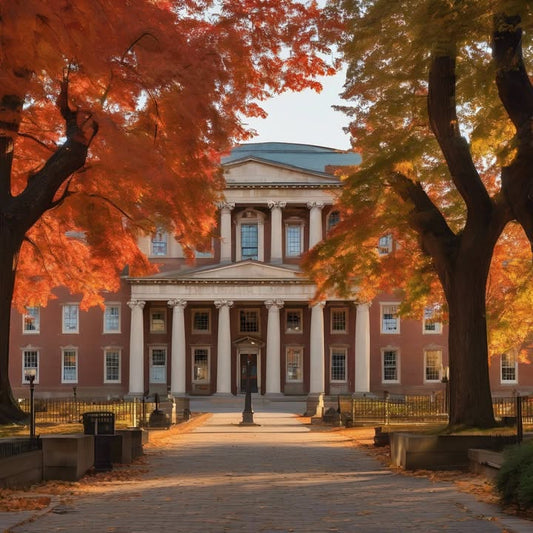 You’ve never met your roommate… but live together.