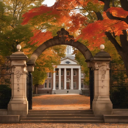 The rush of submitting a paper just before the deadline.