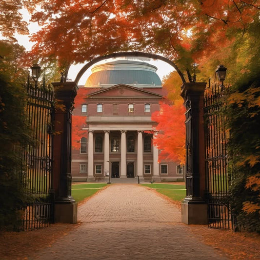 Finding joy in stability—even if it’s boring sometimes.