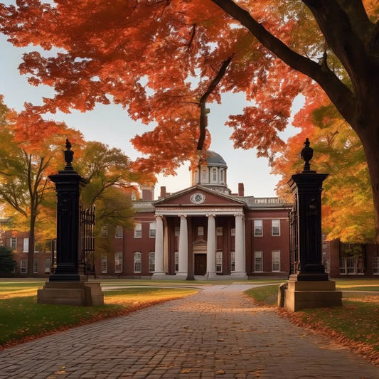 Saying no to prestige-based decisions.