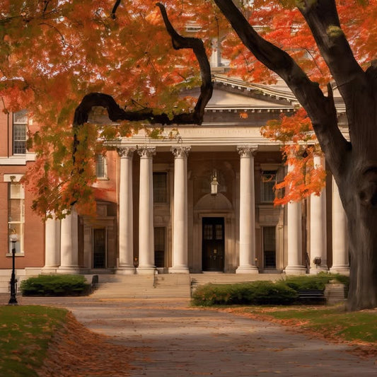 Making pancakes in a rice cooker.