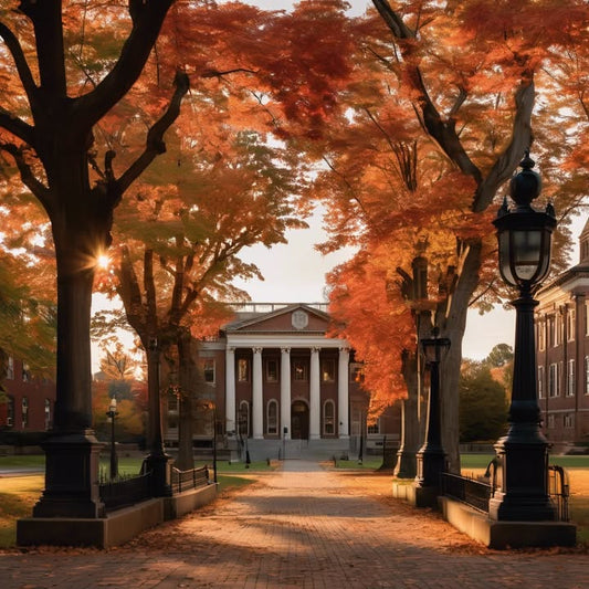 Missing the chaos of meal swipes and shared tables.