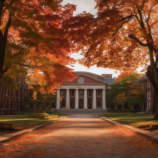 …pretend to have read the reading and prayed you wouldn’t be cold-called.