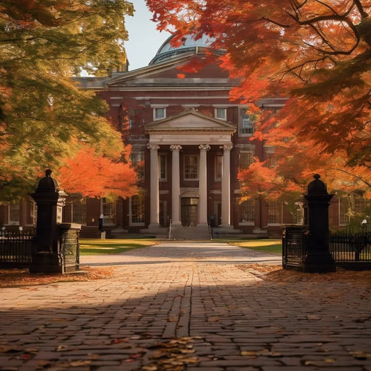 …cry in your professor’s office (they were kind).