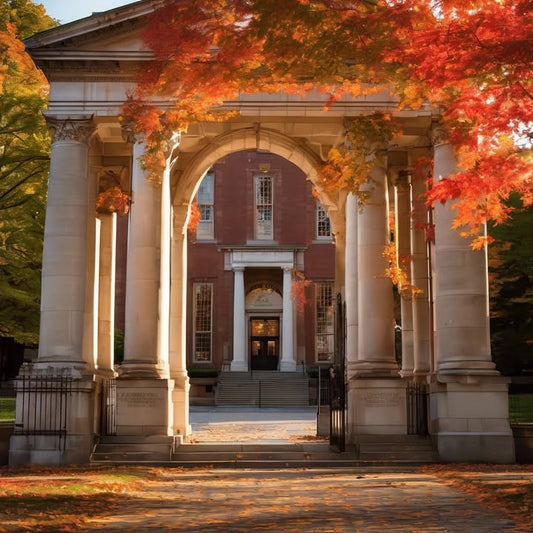 The dessert bar that felt like a Vegas buffet.