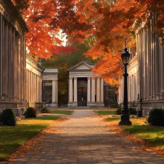 You’ve never met your roommate… but live together.