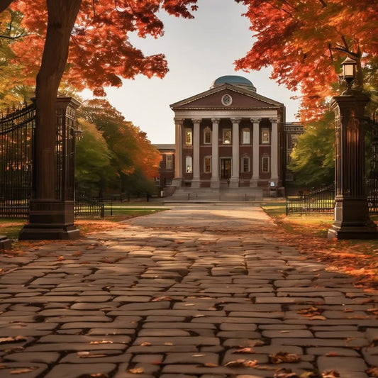 Realizing you overpacked—by 6 suitcases.