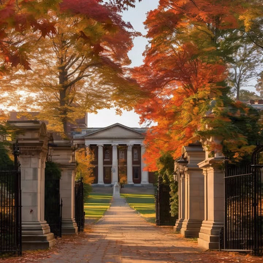 The hum of the fridge, the tick of the clock—your whole world.