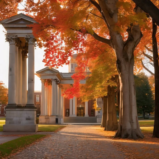 You live on the top floor: leg day every day.