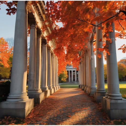 Hallway phone calls that sound like drama podcasts.