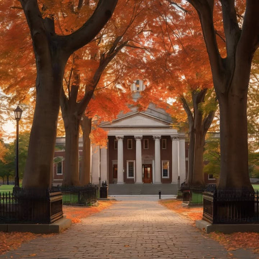 “Mandatory fun” icebreakers that were actually… fun?