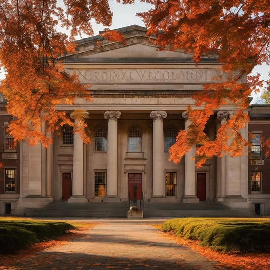 Putting fries in your sandwich because why not.