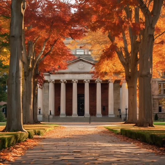 …never finish the assigned reading and still crush the discussion.