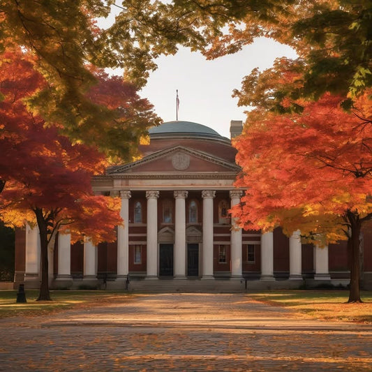 Getting lost in the wrong part of campus… again.