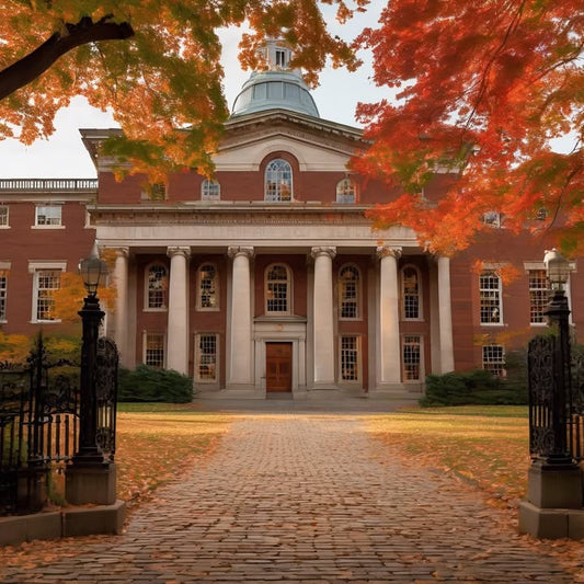The creak of wooden lecture hall chairs.