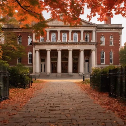 Your first taste of weird school pride culture.