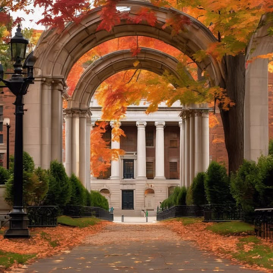 The buzz of campus coming alive on Monday mornings.