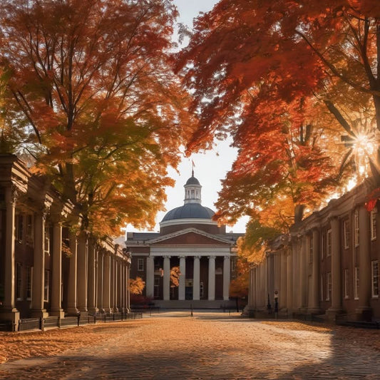 Borrowing clothes without asking (and pretending it’s fine).