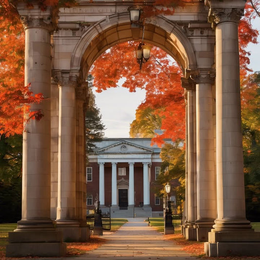 Watching 3x speed lecture recordings at 1 a.m.