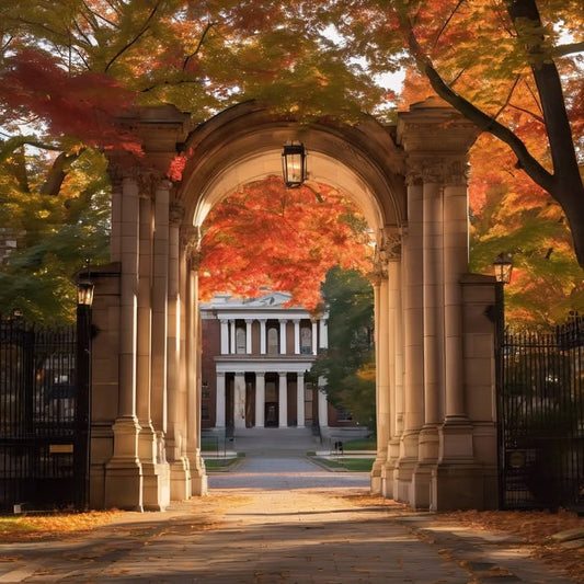 “Whose turn is it to take out the trash?” saga.