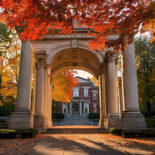 You’ve never met your roommate… but live together.