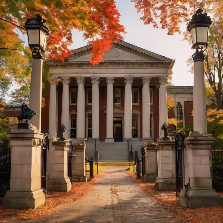 Your mini fridge is 90% sauces and mystery.