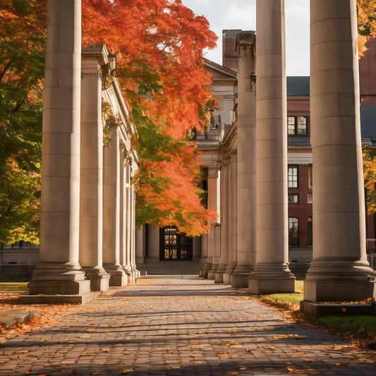 The shower water: scalding or glacier.