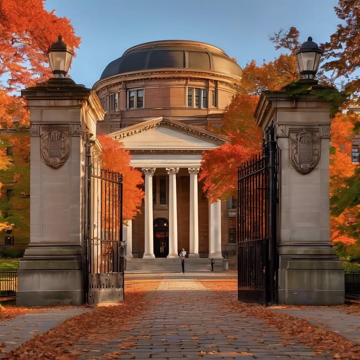 Comparing yourself to classmates who are already launching startups.