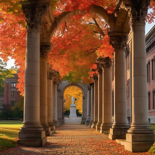 Realizing you don’t have a clear mentor anymore.