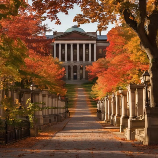 Creating a whiteboard wall out of paper.